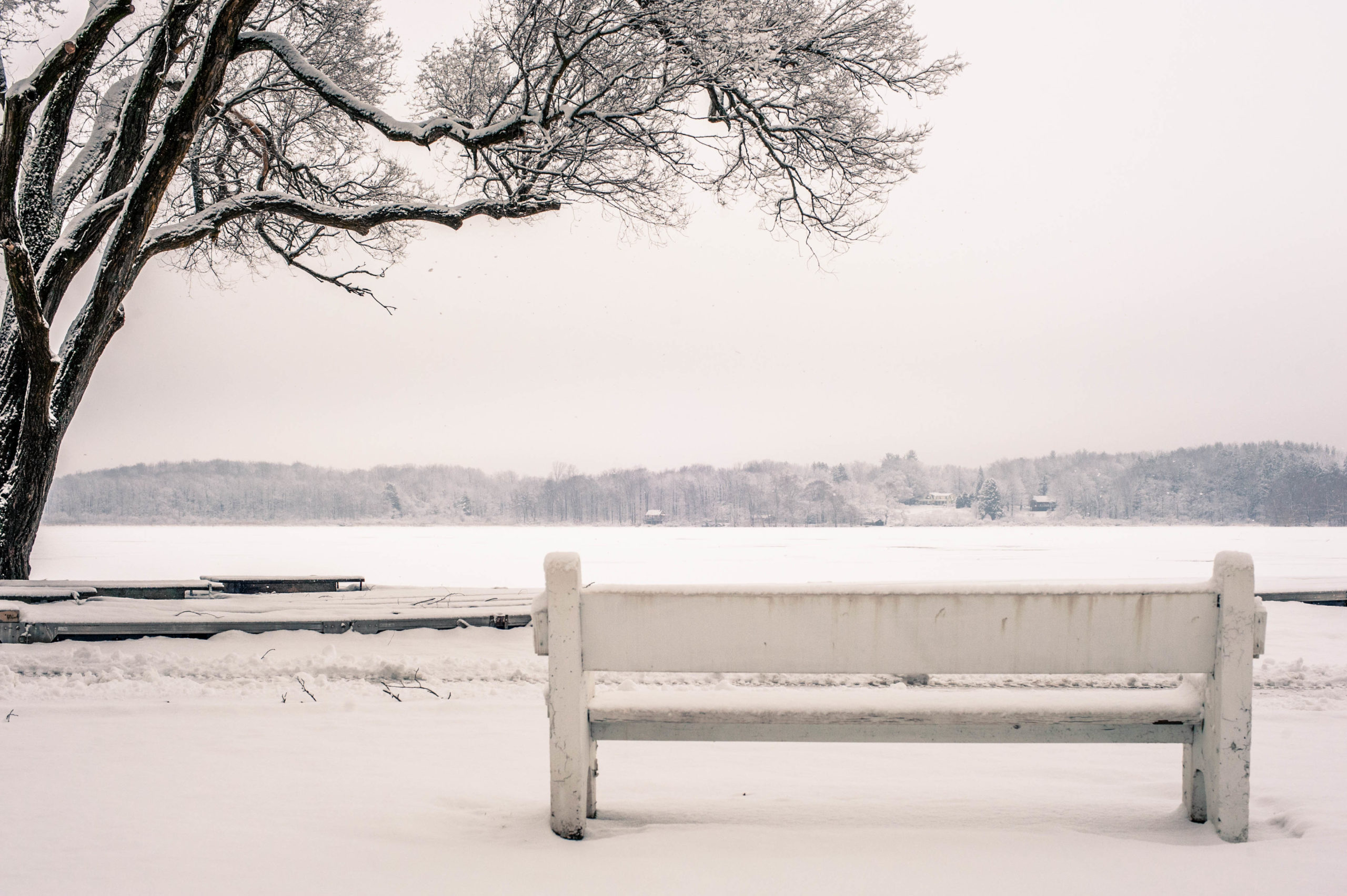 You are currently viewing Is Seasonal Affective Disorder Plaguing You?